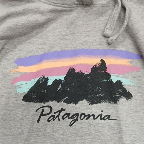 Patagonia Women's Free Hand Fitz Roy Ahnya Hoody Size Medium - Picture 4 of 7